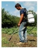 Flame Weeder