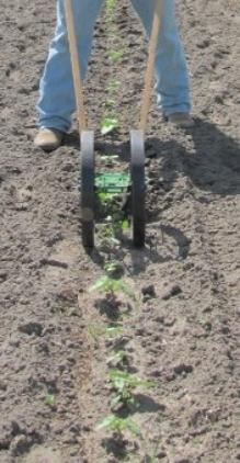 Hoss Double Wheel Hoe