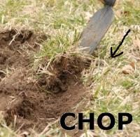 Grub hoe cutting through sod