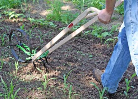 Grit wheel cultivator review