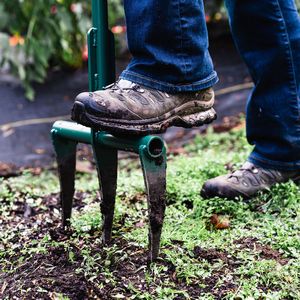 A foot pressing the Raised Bed Broadfork into soil