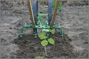 weeding both sides of the row at once