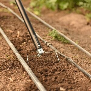 Using a wire weeder or wire hoe